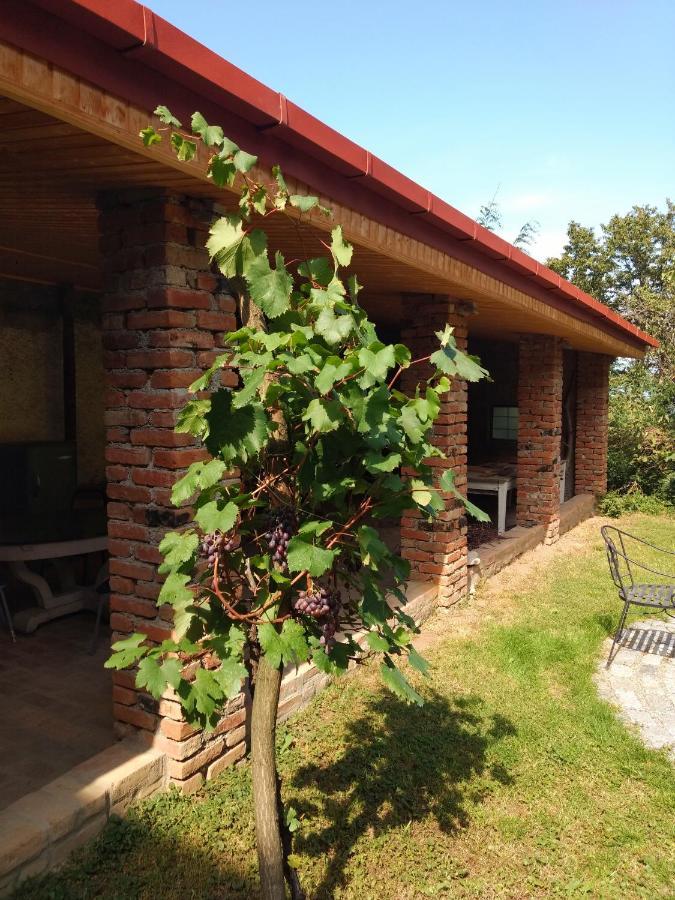 Omsi House Hotel Telavi Buitenkant foto