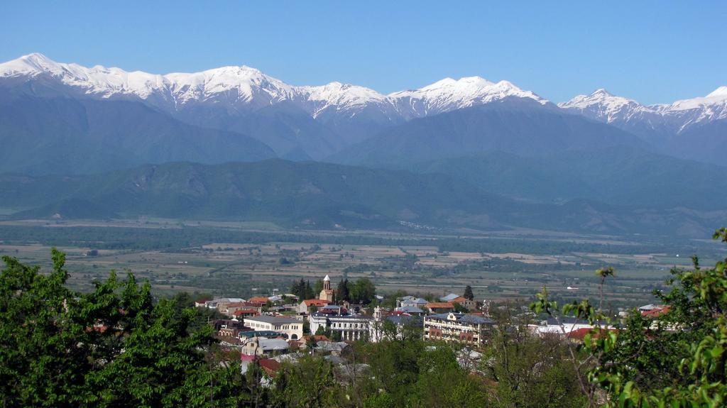 Omsi House Hotel Telavi Buitenkant foto